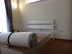 Whitehaven (D5), Apartment #174521592